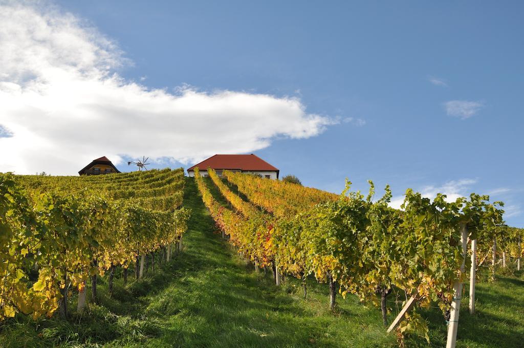 Weingut Koegl Bed & Breakfast Ratsch an der Weinstrasse Bagian luar foto
